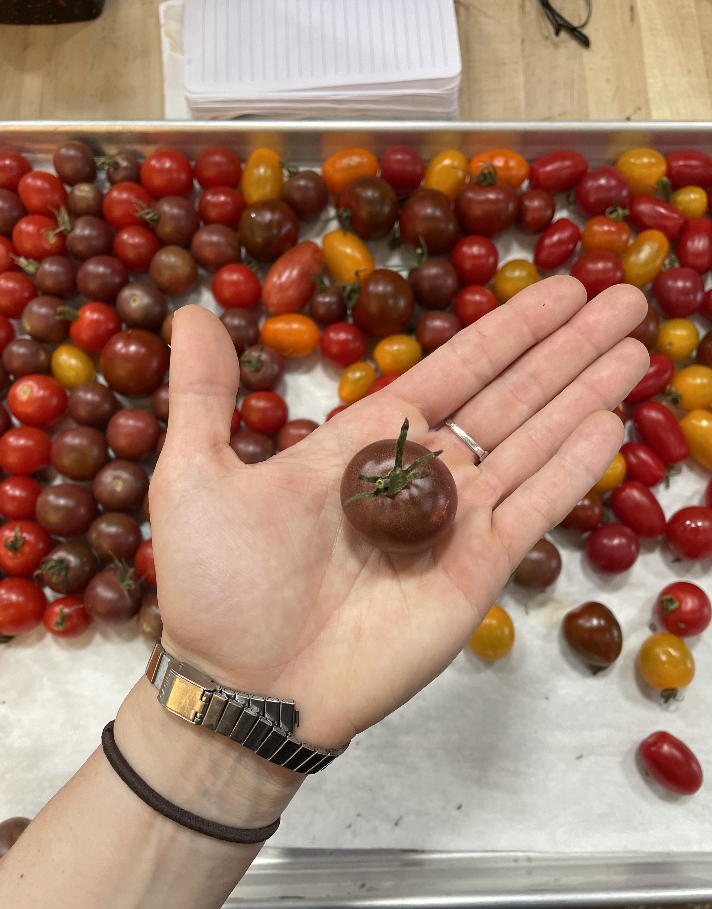 Tomato